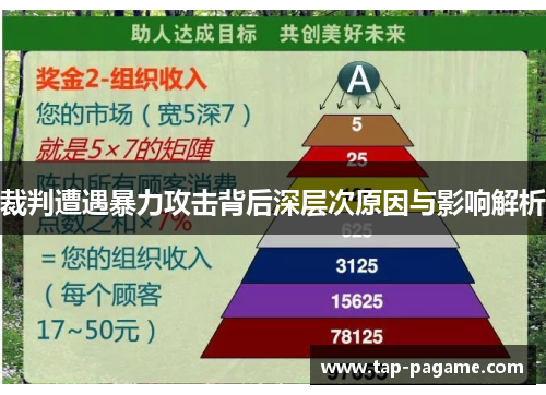 裁判遭遇暴力攻击背后深层次原因与影响解析