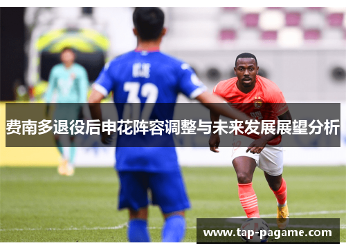 费南多退役后申花阵容调整与未来发展展望分析
