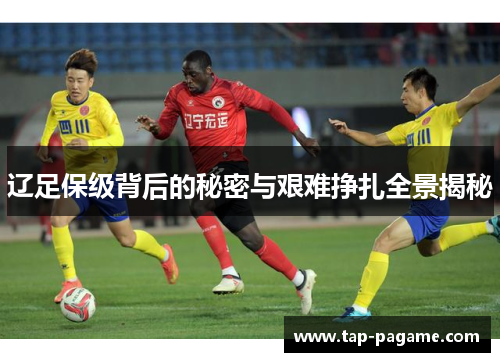 辽足保级背后的秘密与艰难挣扎全景揭秘 辽足保级背后的秘密与艰难挣扎全景揭秘